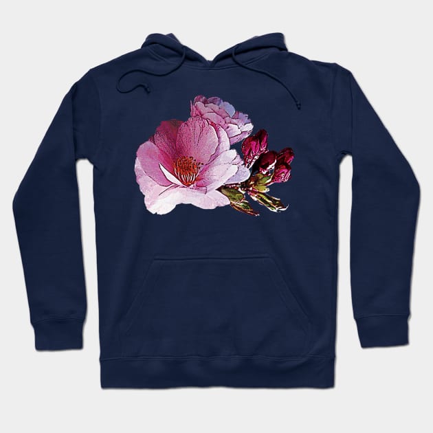 Cherry Blossoms - Cherry Blossom and Buds Hoodie by SusanSavad